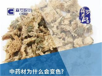 《森羅萬象》，萬象包羅 第2問